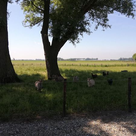 Het Zeeuws Verblijf Terneuzen Extérieur photo