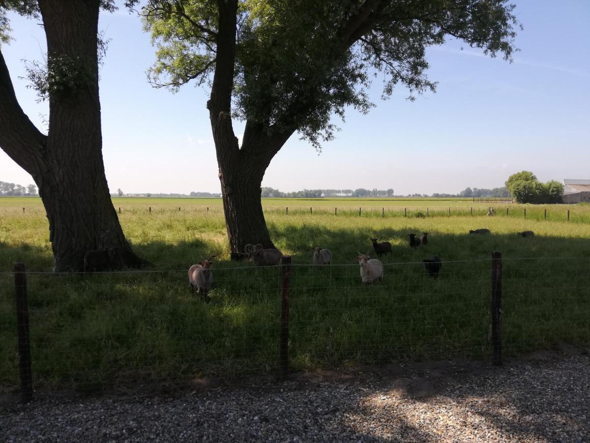 Het Zeeuws Verblijf Terneuzen Extérieur photo